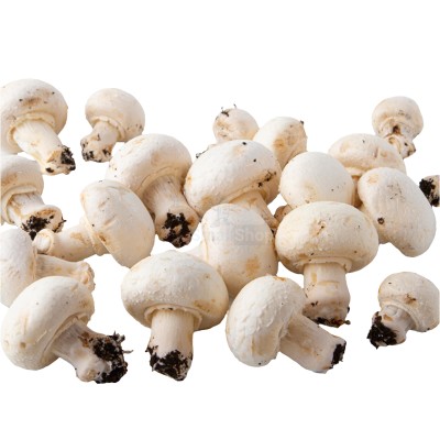 Шампиньоны свежие 500 г - купить в Гордеевке